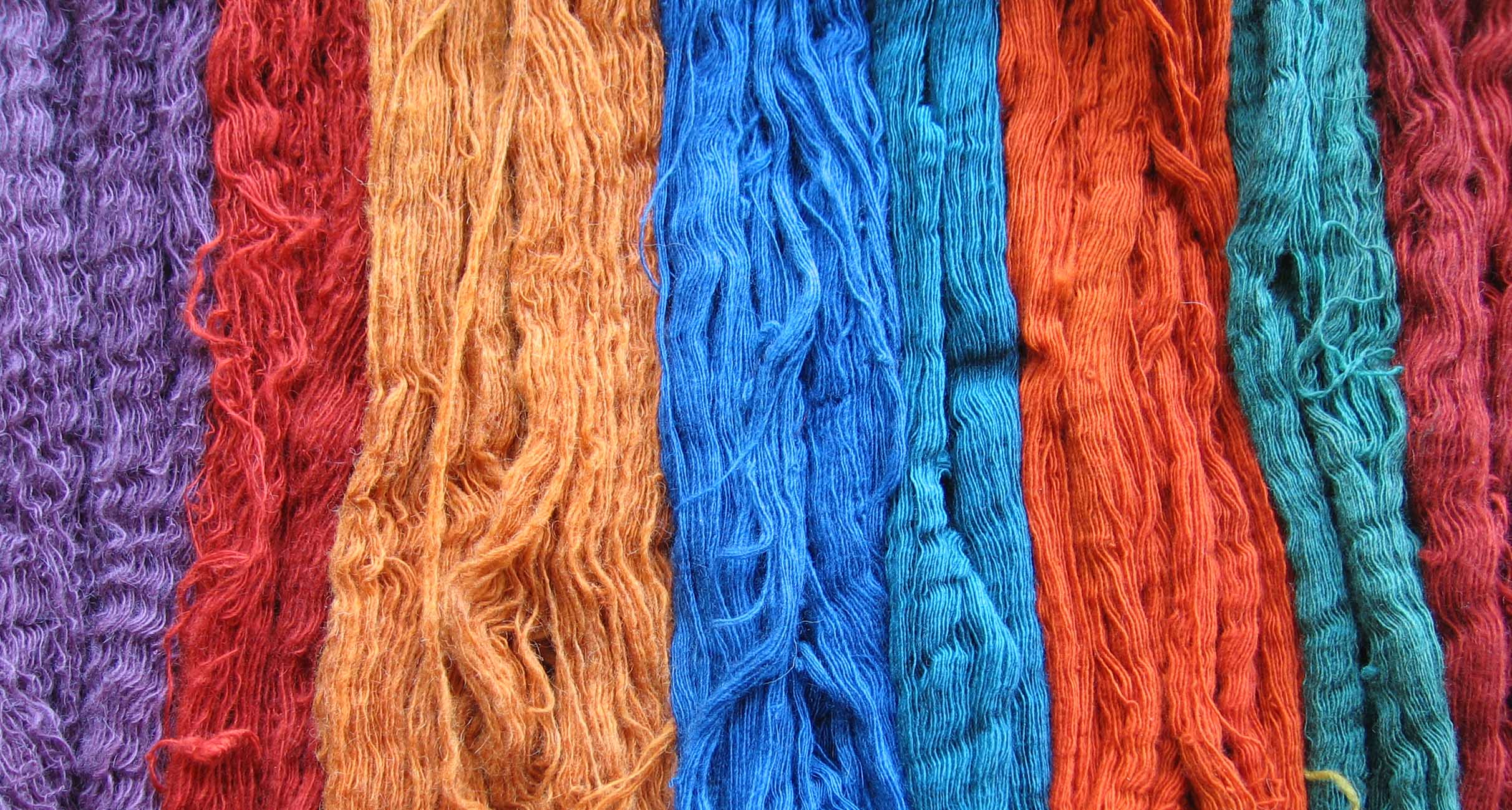 Skeins of wool dyed with natural indigo, lac, madder, and tesu, hung in rows.